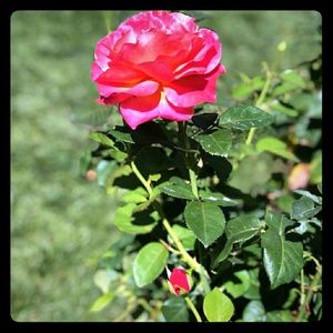 Meet your Posher, Dalonda